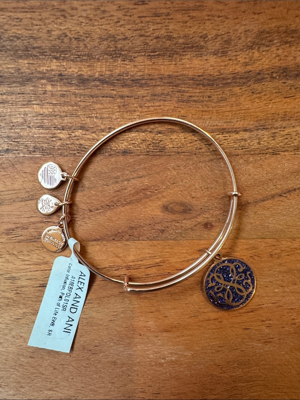 Alex and Ani rose Gold-Tone Bangle with Navy Blue Filigree Charm
